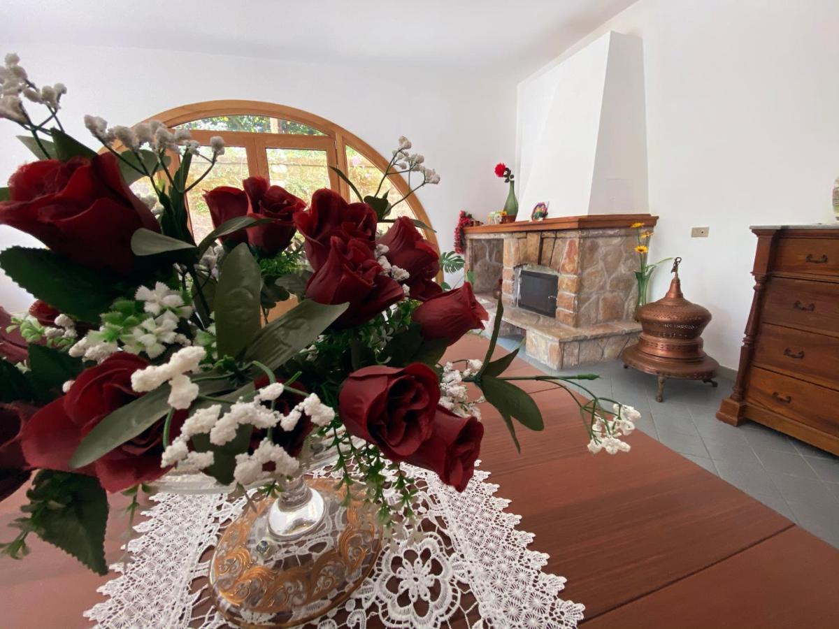 Achille Home B&B Półwysep Sorrentyński Zewnętrze zdjęcie