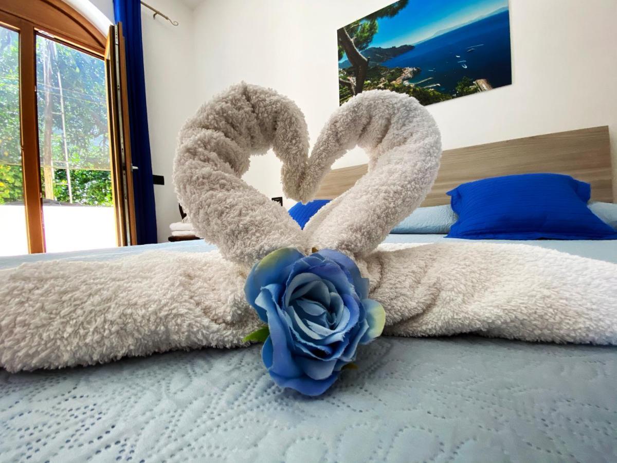 Achille Home B&B Półwysep Sorrentyński Zewnętrze zdjęcie